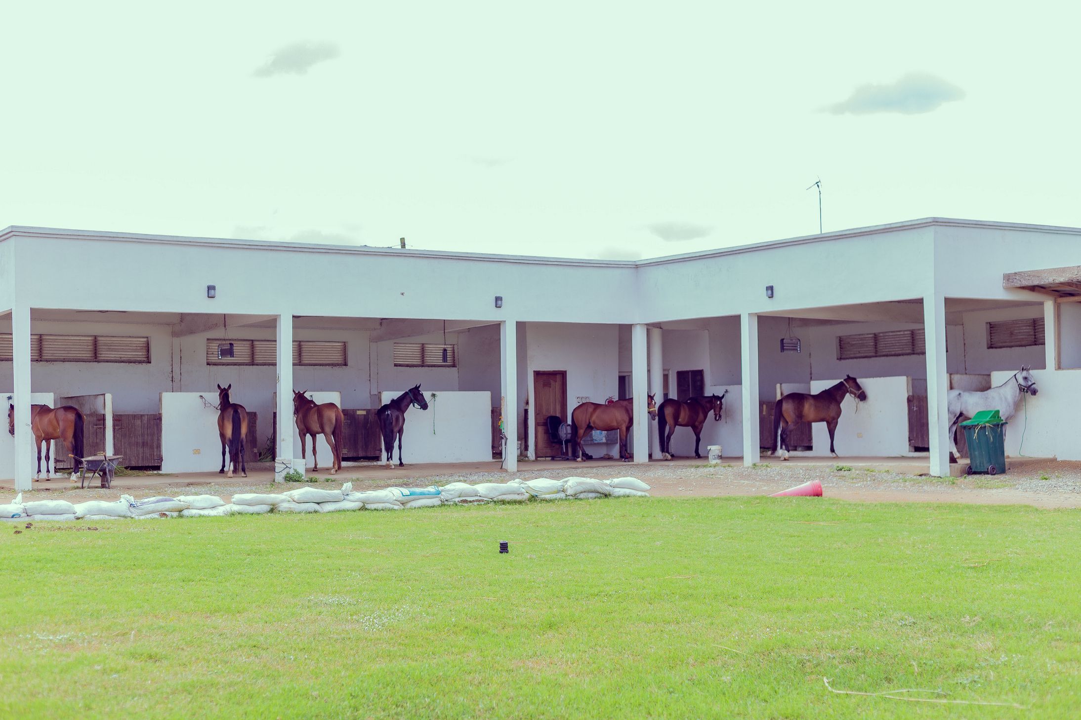 Equestrian | Luxury Apartments & Equestrian in Ghana